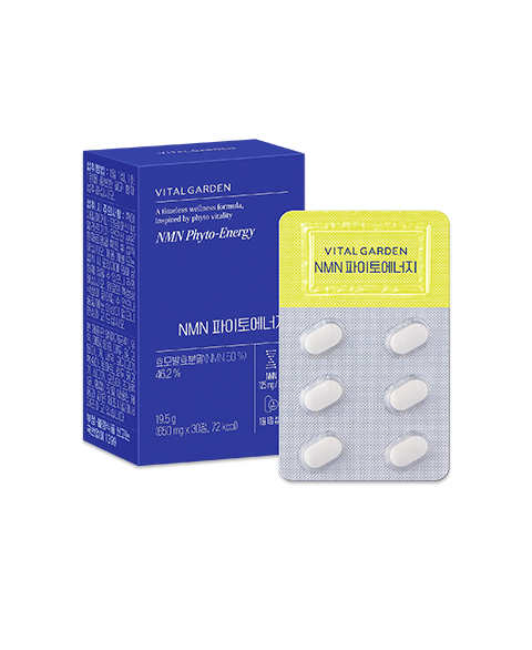 NMN �����信����